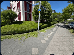 Fachgerecht geschnittene Hecke am Gehweg – A.B. Hausmeister, Frankfurt am Main