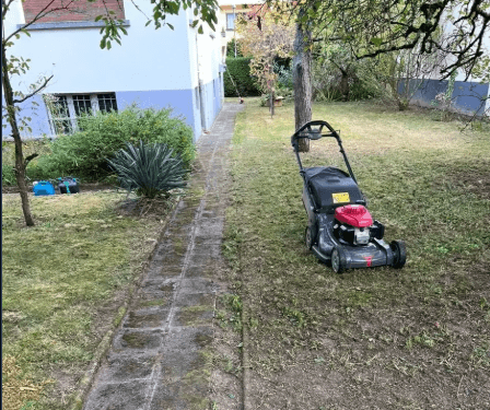 Rasenmähen im Garten mit Benzinrasenmäher